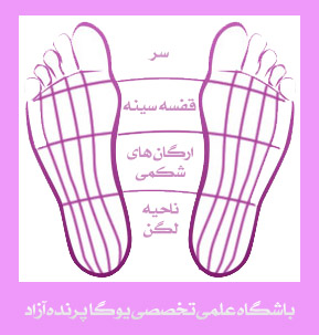 ,yoga,یوگا,یوگا کرج,یوگا استان البرز,کلاس یوگا,مرکز تخصصی یوگا,باشگاه نمونه یوگا,رفلکسولوژی,بازتاب درمانی,بازتاب شناسی,درمانهای شفابخض,طب کل نگر,درمانهای نامتعارف,باشگاه تخصصی یوگا پرنده آزاد کرج, ,yoga,یوگا,یوگا کرج,یوگا استان البرز,کلاس یوگا,مرکز تخصصی یوگا,باشگاه نمونه یوگا,رفلکسولوژی,بازتاب درمانی,بازتاب شناسی,درمانهای شفابخض,طب کل نگر,درمانهای نامتعارف,باشگاه تخصصی یوگا پرنده آزاد کرج,